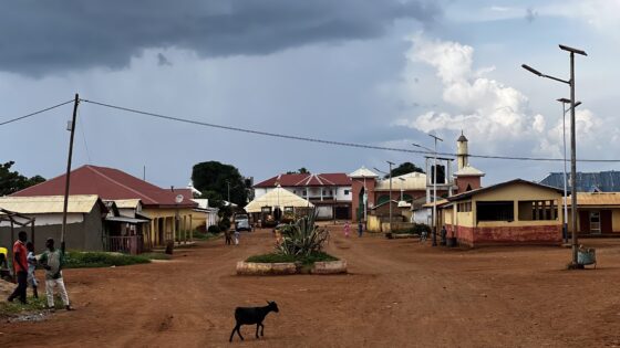 PRESENTATION OF THE  OF DJOHONG COUNCIL