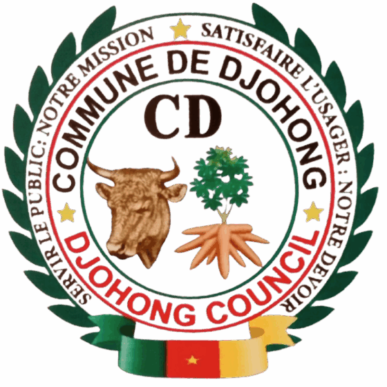 SESSION DU DOB 2026 : LES CONTRAINTES FINANCIÈRES DE LA COMMUNE DE DJOHONG